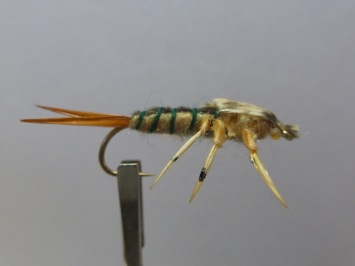 Size 8 Ted's Stone Tan